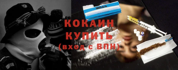 шишки Армянск