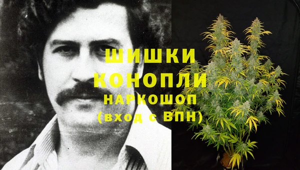 трава Аркадак