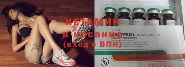 шишки Армянск