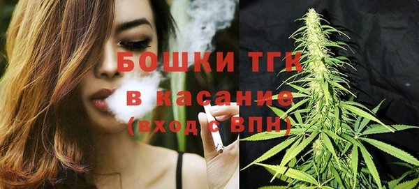 шишки Армянск