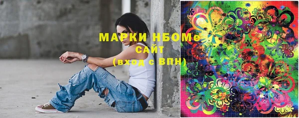 ПСИЛОЦИБИНОВЫЕ ГРИБЫ Новозыбков